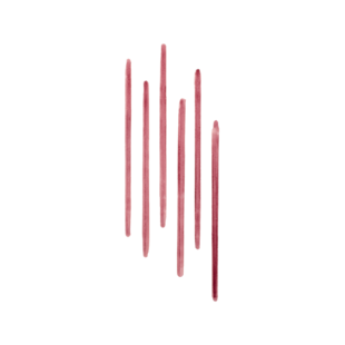 Lip Tint Liner & Sheer Lip Stain, Rosewood